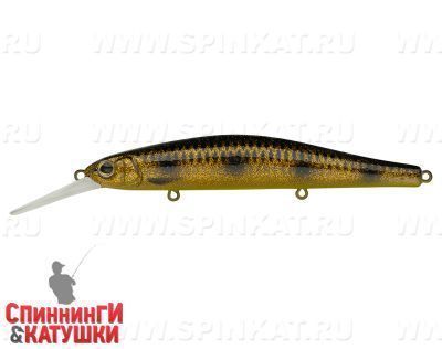 Spotted Bullhead (EG-193BXL-SP#JV009F)