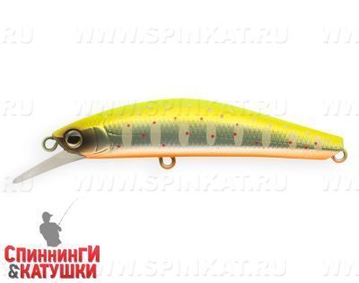 Mat Motley Trout (JS-344#A190ES)