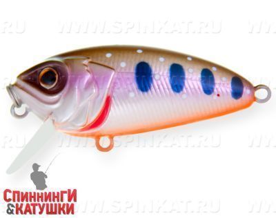 Arctic Char (EG-134#A142-264)