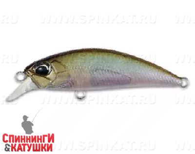 #GEA3006 Ghost Minnow