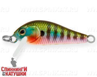 Bluegill (EG-183S#630V)