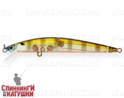 Broun Gill Transparent (EG-146F#A68G)