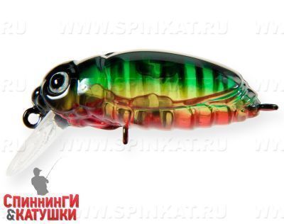 Transparent Perch (EG-174F#A102G)