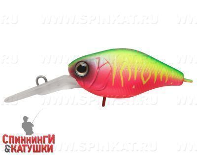 Watermelon Mat Tiger (EG-165L#A230S)