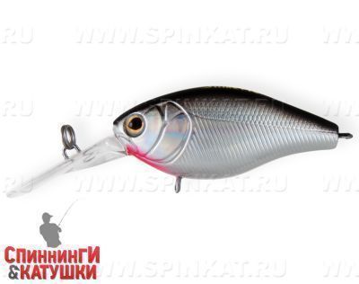 Black Back Silver (EG-165L#A010-EP)