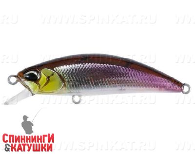 #GSN4011 Stream Shad