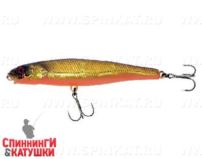 Hl gold & black