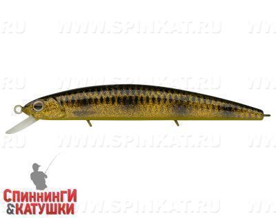 Spotted Bullhead (EG-190A-SP#JV009F)