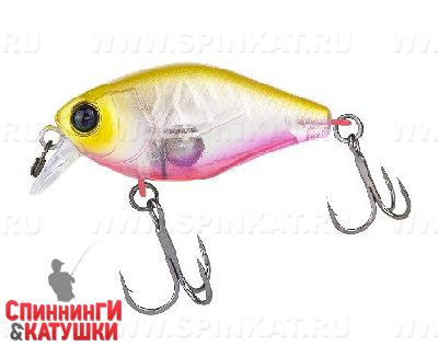Clear chartreuse tiger