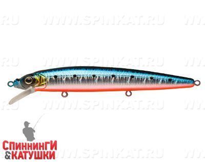 Blue Back Silver OB Fluo (EG-033F#A234-SBO-LU)