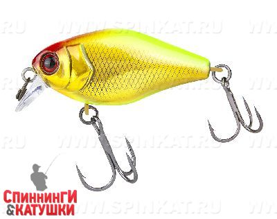 Gold & chartreuse