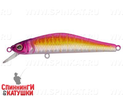 Purple Head (EG-193A-SP#287-713)