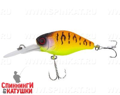 Tropical mat tiger