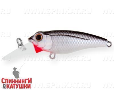 Black Back Silver (EG-073F#A010-EP)