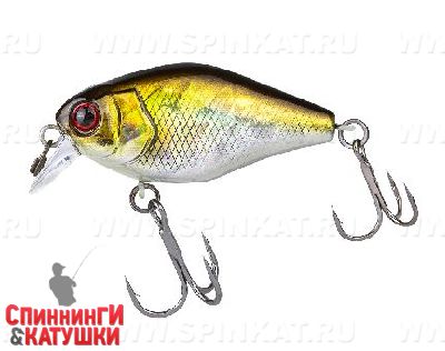 Hl shad