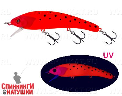 #RPB UV