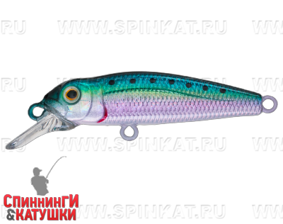EG-074SP#692-713-RP