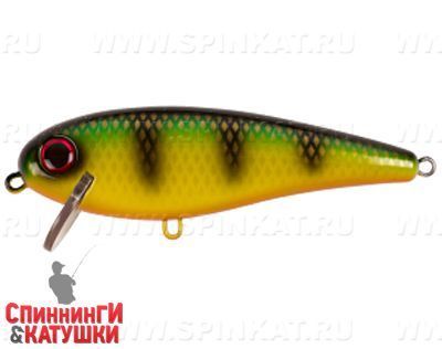 Orange Belly Perch (EG-205B#JV003)