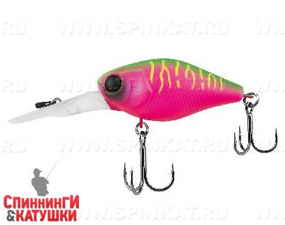 Dragon fruit mat tiger