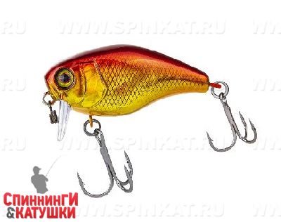 Hl red & gold