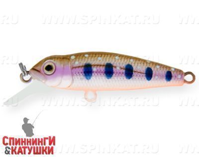 Arctic Char (EG-074SP#A142-264)