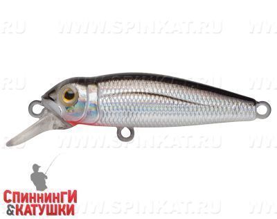 Black Back Silver (EG-074SP#A010-EP)