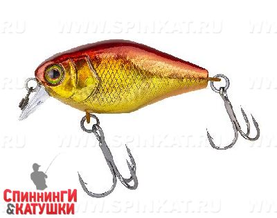 Hl red & gold