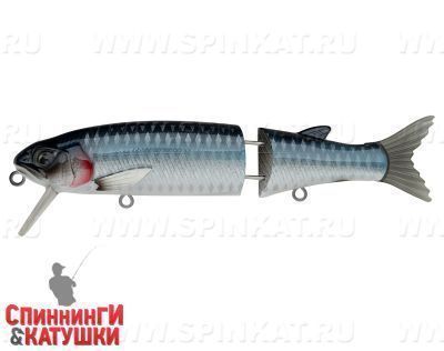 Herring (EG-157-SP#AC501F)