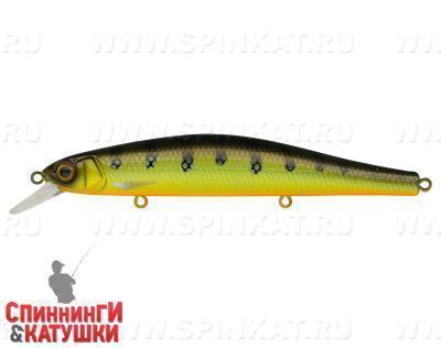 Elritsa (EG-193B-SP#C754F)