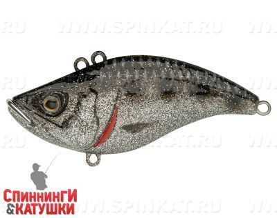 Silver Spotted Bullhead (EG-128B#A249F-3D)