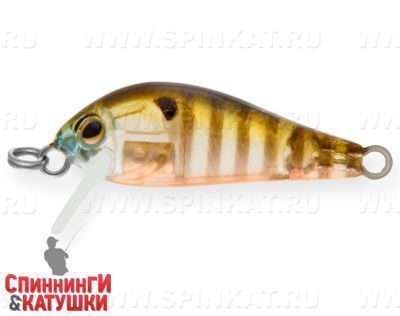 Broun Gill Transparent (EG-183S#A68G)