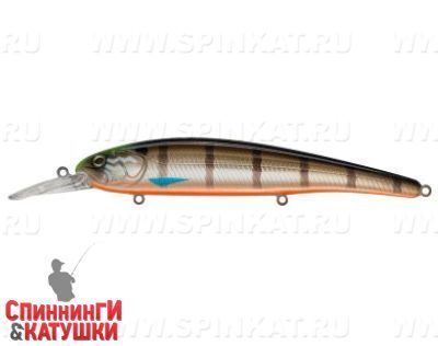 Minke Whale (EG-220SP#201-264)