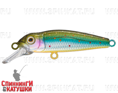 Silver Loach (EG-074SP#964T)