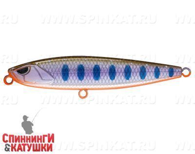 A142-264 Arctic Char (EG-245#A142-264)