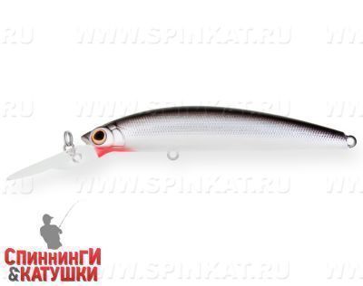 Black Back Silver (EG-068B#A010-EP)