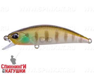 #CCC3158 Ghost Gill