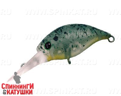 #06