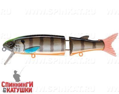 Minke Whale (EG-157-SP#201-264)