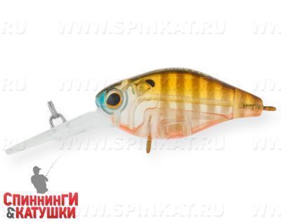 Broun Gill Transparent (EG-165L#A68G)