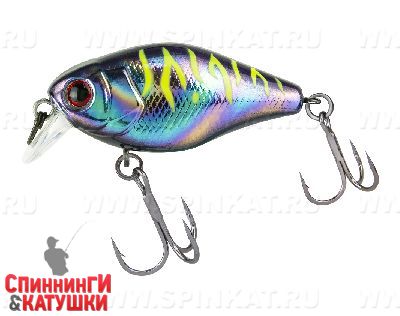 Uv ul tamamushi tiger
