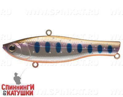 Arctic Char (JS-161-24#A142-264)