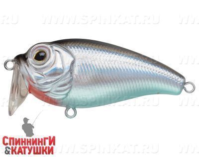 Black Back Silver (JL-038L#A010-EP)