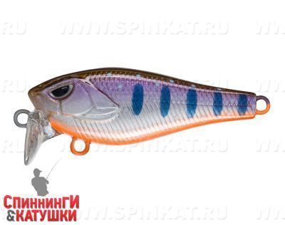 Arctic Char (EG-239#A142-264)
