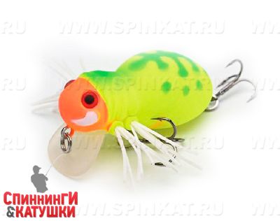 #05 Caterpillar