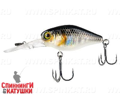 Hl silver & black
