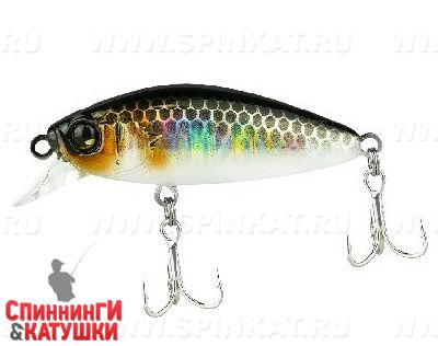 Hl silver & black