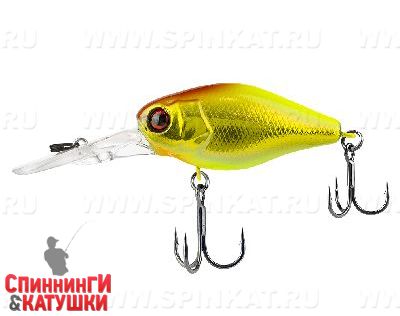 Gold & chartreuse