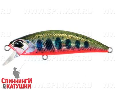 #ADA4068 Yamame Red Belly