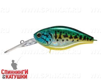 Venom Perch (EG-165L#945V)