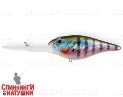 Bluegill (EG-053F#630V)